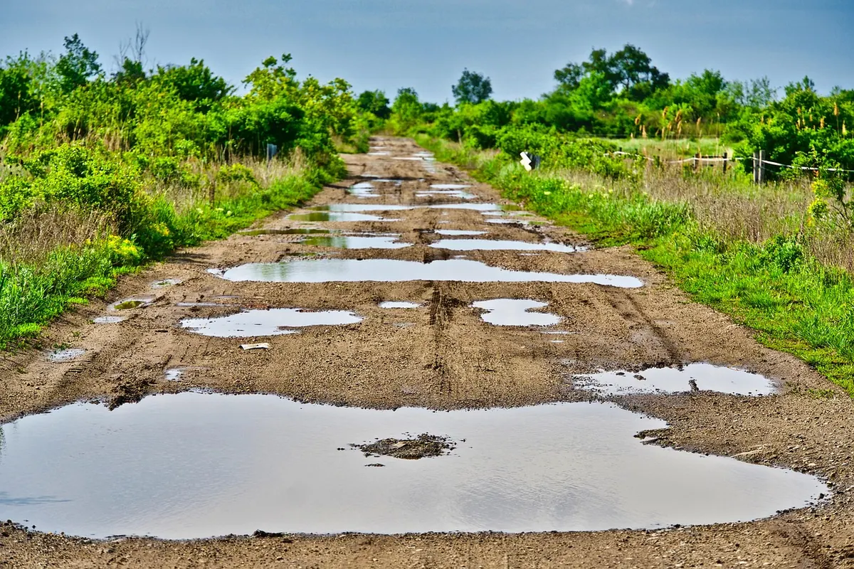 How to Spot and Report Potholes in Elmwood: A Resident's Checklist
